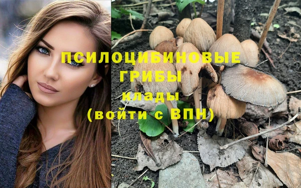 ГАЛЛЮЦИНОГЕННЫЕ ГРИБЫ Алексин