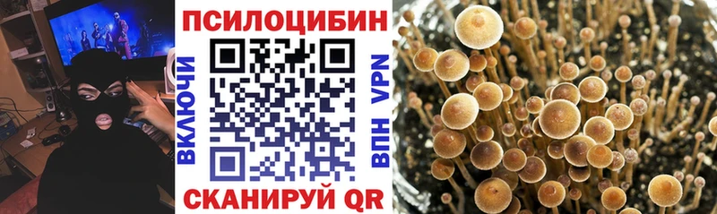 Галлюциногенные грибы Cubensis  где продают наркотики  Арамиль 